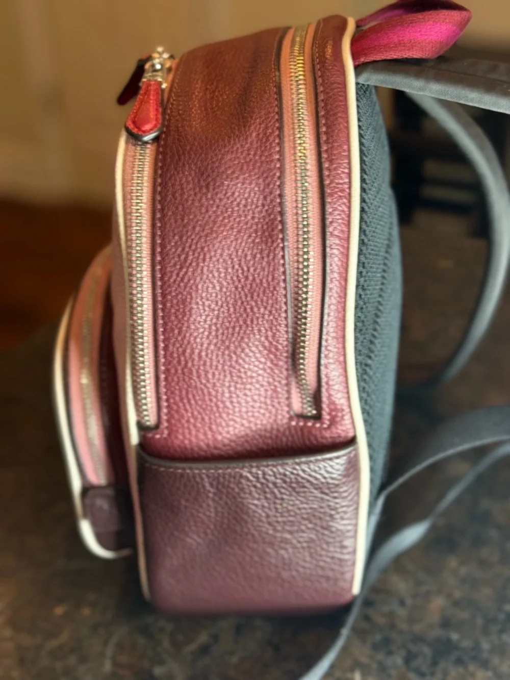 Coach Pink and Burgundy Colorblock Leather Mini Court Backpack Skiing